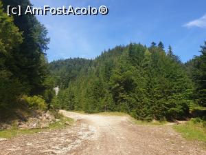 [P39] traseul este accesibil » foto by robert
 - 
<span class="allrVoted glyphicon glyphicon-heart hidden" id="av1183136"></span>
<a class="m-l-10 hidden" id="sv1183136" onclick="voting_Foto_DelVot(,1183136,5764)" role="button">șterge vot <span class="glyphicon glyphicon-remove"></span></a>
<a id="v91183136" class=" c-red"  onclick="voting_Foto_SetVot(1183136)" role="button"><span class="glyphicon glyphicon-heart-empty"></span> <b>LIKE</b> = Votează poza</a> <img class="hidden"  id="f1183136W9" src="/imagini/loader.gif" border="0" /><span class="AjErrMes hidden" id="e1183136ErM"></span>