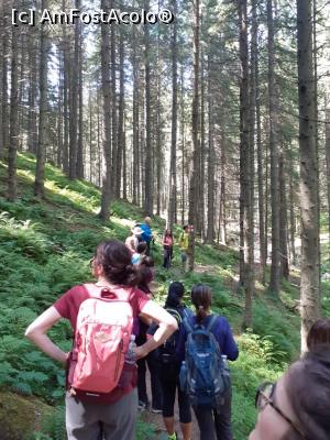 [P04] traseul e prin pădure » foto by robert
 - 
<span class="allrVoted glyphicon glyphicon-heart hidden" id="av1183101"></span>
<a class="m-l-10 hidden" id="sv1183101" onclick="voting_Foto_DelVot(,1183101,5764)" role="button">șterge vot <span class="glyphicon glyphicon-remove"></span></a>
<a id="v91183101" class=" c-red"  onclick="voting_Foto_SetVot(1183101)" role="button"><span class="glyphicon glyphicon-heart-empty"></span> <b>LIKE</b> = Votează poza</a> <img class="hidden"  id="f1183101W9" src="/imagini/loader.gif" border="0" /><span class="AjErrMes hidden" id="e1183101ErM"></span>