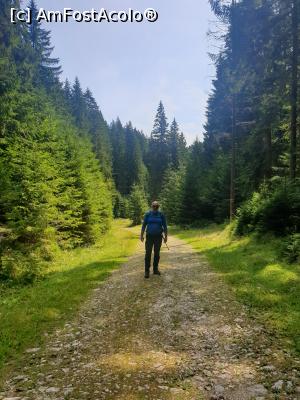 [P43] pe cărări de munte » foto by robert
 - 
<span class="allrVoted glyphicon glyphicon-heart hidden" id="av1183140"></span>
<a class="m-l-10 hidden" id="sv1183140" onclick="voting_Foto_DelVot(,1183140,5764)" role="button">șterge vot <span class="glyphicon glyphicon-remove"></span></a>
<a id="v91183140" class=" c-red"  onclick="voting_Foto_SetVot(1183140)" role="button"><span class="glyphicon glyphicon-heart-empty"></span> <b>LIKE</b> = Votează poza</a> <img class="hidden"  id="f1183140W9" src="/imagini/loader.gif" border="0" /><span class="AjErrMes hidden" id="e1183140ErM"></span>