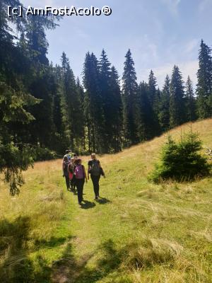 [P48] pas cu pas » foto by robert
 - 
<span class="allrVoted glyphicon glyphicon-heart hidden" id="av1183145"></span>
<a class="m-l-10 hidden" id="sv1183145" onclick="voting_Foto_DelVot(,1183145,5764)" role="button">șterge vot <span class="glyphicon glyphicon-remove"></span></a>
<a id="v91183145" class=" c-red"  onclick="voting_Foto_SetVot(1183145)" role="button"><span class="glyphicon glyphicon-heart-empty"></span> <b>LIKE</b> = Votează poza</a> <img class="hidden"  id="f1183145W9" src="/imagini/loader.gif" border="0" /><span class="AjErrMes hidden" id="e1183145ErM"></span>