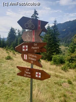 [P54] indicatoare turistice » foto by robert
 - 
<span class="allrVoted glyphicon glyphicon-heart hidden" id="av1183151"></span>
<a class="m-l-10 hidden" id="sv1183151" onclick="voting_Foto_DelVot(,1183151,5764)" role="button">șterge vot <span class="glyphicon glyphicon-remove"></span></a>
<a id="v91183151" class=" c-red"  onclick="voting_Foto_SetVot(1183151)" role="button"><span class="glyphicon glyphicon-heart-empty"></span> <b>LIKE</b> = Votează poza</a> <img class="hidden"  id="f1183151W9" src="/imagini/loader.gif" border="0" /><span class="AjErrMes hidden" id="e1183151ErM"></span>