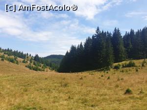 [P55] frumusețea Craiului » foto by robert
 - 
<span class="allrVoted glyphicon glyphicon-heart hidden" id="av1183152"></span>
<a class="m-l-10 hidden" id="sv1183152" onclick="voting_Foto_DelVot(,1183152,5764)" role="button">șterge vot <span class="glyphicon glyphicon-remove"></span></a>
<a id="v91183152" class=" c-red"  onclick="voting_Foto_SetVot(1183152)" role="button"><span class="glyphicon glyphicon-heart-empty"></span> <b>LIKE</b> = Votează poza</a> <img class="hidden"  id="f1183152W9" src="/imagini/loader.gif" border="0" /><span class="AjErrMes hidden" id="e1183152ErM"></span>