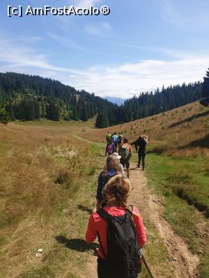 [P58] șir indian » foto by robert
 - 
<span class="allrVoted glyphicon glyphicon-heart hidden" id="av1183155"></span>
<a class="m-l-10 hidden" id="sv1183155" onclick="voting_Foto_DelVot(,1183155,5764)" role="button">șterge vot <span class="glyphicon glyphicon-remove"></span></a>
<a id="v91183155" class=" c-red"  onclick="voting_Foto_SetVot(1183155)" role="button"><span class="glyphicon glyphicon-heart-empty"></span> <b>LIKE</b> = Votează poza</a> <img class="hidden"  id="f1183155W9" src="/imagini/loader.gif" border="0" /><span class="AjErrMes hidden" id="e1183155ErM"></span>