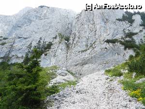 [P04] ne uitam la el si ne gandeam ca probabil il vom ocoli, ne-am inselat » foto by florentin_dobre
 - 
<span class="allrVoted glyphicon glyphicon-heart hidden" id="av461625"></span>
<a class="m-l-10 hidden" id="sv461625" onclick="voting_Foto_DelVot(,461625,5764)" role="button">șterge vot <span class="glyphicon glyphicon-remove"></span></a>
<a id="v9461625" class=" c-red"  onclick="voting_Foto_SetVot(461625)" role="button"><span class="glyphicon glyphicon-heart-empty"></span> <b>LIKE</b> = Votează poza</a> <img class="hidden"  id="f461625W9" src="/imagini/loader.gif" border="0" /><span class="AjErrMes hidden" id="e461625ErM"></span>