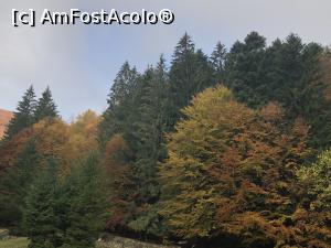 [P14] toamna la poalele muntelui » foto by Dan&Ema
 - 
<span class="allrVoted glyphicon glyphicon-heart hidden" id="av1201812"></span>
<a class="m-l-10 hidden" id="sv1201812" onclick="voting_Foto_DelVot(,1201812,5764)" role="button">șterge vot <span class="glyphicon glyphicon-remove"></span></a>
<a id="v91201812" class=" c-red"  onclick="voting_Foto_SetVot(1201812)" role="button"><span class="glyphicon glyphicon-heart-empty"></span> <b>LIKE</b> = Votează poza</a> <img class="hidden"  id="f1201812W9" src="/imagini/loader.gif" border="0" /><span class="AjErrMes hidden" id="e1201812ErM"></span>