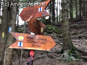 [P26] Ramificatia celor doua drumuri paralele catre Prapastii » foto by Dan&Ema
 - 
<span class="allrVoted glyphicon glyphicon-heart hidden" id="av1024731"></span>
<a class="m-l-10 hidden" id="sv1024731" onclick="voting_Foto_DelVot(,1024731,5764)" role="button">șterge vot <span class="glyphicon glyphicon-remove"></span></a>
<a id="v91024731" class=" c-red"  onclick="voting_Foto_SetVot(1024731)" role="button"><span class="glyphicon glyphicon-heart-empty"></span> <b>LIKE</b> = Votează poza</a> <img class="hidden"  id="f1024731W9" src="/imagini/loader.gif" border="0" /><span class="AjErrMes hidden" id="e1024731ErM"></span>