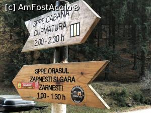 [P04] Pe banda galbena, la deal, baieti!  » foto by Dan&Ema
 - 
<span class="allrVoted glyphicon glyphicon-heart hidden" id="av1024709"></span>
<a class="m-l-10 hidden" id="sv1024709" onclick="voting_Foto_DelVot(,1024709,5764)" role="button">șterge vot <span class="glyphicon glyphicon-remove"></span></a>
<a id="v91024709" class=" c-red"  onclick="voting_Foto_SetVot(1024709)" role="button"><span class="glyphicon glyphicon-heart-empty"></span> <b>LIKE</b> = Votează poza</a> <img class="hidden"  id="f1024709W9" src="/imagini/loader.gif" border="0" /><span class="AjErrMes hidden" id="e1024709ErM"></span>