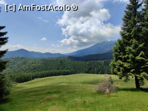 [P15] Coborârea pe bandă galbenă, ușoară dar lungă, 3,30h. Aici am mâncat. » foto by Dana2008
 - 
<span class="allrVoted glyphicon glyphicon-heart hidden" id="av1169767"></span>
<a class="m-l-10 hidden" id="sv1169767" onclick="voting_Foto_DelVot(,1169767,5764)" role="button">șterge vot <span class="glyphicon glyphicon-remove"></span></a>
<a id="v91169767" class=" c-red"  onclick="voting_Foto_SetVot(1169767)" role="button"><span class="glyphicon glyphicon-heart-empty"></span> <b>LIKE</b> = Votează poza</a> <img class="hidden"  id="f1169767W9" src="/imagini/loader.gif" border="0" /><span class="AjErrMes hidden" id="e1169767ErM"></span>