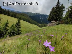 [P05] Urcarea pe banda albastra, ușoară și scurtă, durata 1,30h » foto by Dana2008
 - 
<span class="allrVoted glyphicon glyphicon-heart hidden" id="av1169757"></span>
<a class="m-l-10 hidden" id="sv1169757" onclick="voting_Foto_DelVot(,1169757,5764)" role="button">șterge vot <span class="glyphicon glyphicon-remove"></span></a>
<a id="v91169757" class=" c-red"  onclick="voting_Foto_SetVot(1169757)" role="button"><span class="glyphicon glyphicon-heart-empty"></span> <b>LIKE</b> = Votează poza</a> <img class="hidden"  id="f1169757W9" src="/imagini/loader.gif" border="0" /><span class="AjErrMes hidden" id="e1169757ErM"></span>