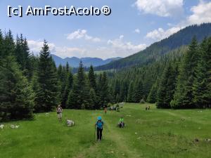 [P07] Urcarea pe banda albastra, ușoară și scurtă, durata 1,30h » foto by Dana2008
 - 
<span class="allrVoted glyphicon glyphicon-heart hidden" id="av1169759"></span>
<a class="m-l-10 hidden" id="sv1169759" onclick="voting_Foto_DelVot(,1169759,5764)" role="button">șterge vot <span class="glyphicon glyphicon-remove"></span></a>
<a id="v91169759" class=" c-red"  onclick="voting_Foto_SetVot(1169759)" role="button"><span class="glyphicon glyphicon-heart-empty"></span> <b>LIKE</b> = Votează poza</a> <img class="hidden"  id="f1169759W9" src="/imagini/loader.gif" border="0" /><span class="AjErrMes hidden" id="e1169759ErM"></span>