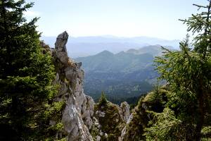 [P15] Peisaj » foto by makuy*
 - 
<span class="allrVoted glyphicon glyphicon-heart hidden" id="av674997"></span>
<a class="m-l-10 hidden" id="sv674997" onclick="voting_Foto_DelVot(,674997,5764)" role="button">șterge vot <span class="glyphicon glyphicon-remove"></span></a>
<a id="v9674997" class=" c-red"  onclick="voting_Foto_SetVot(674997)" role="button"><span class="glyphicon glyphicon-heart-empty"></span> <b>LIKE</b> = Votează poza</a> <img class="hidden"  id="f674997W9" src="/imagini/loader.gif" border="0" /><span class="AjErrMes hidden" id="e674997ErM"></span>