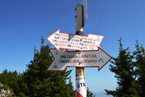 [P16] Intersecție » foto by makuy*
 - 
<span class="allrVoted glyphicon glyphicon-heart hidden" id="av674998"></span>
<a class="m-l-10 hidden" id="sv674998" onclick="voting_Foto_DelVot(,674998,5764)" role="button">șterge vot <span class="glyphicon glyphicon-remove"></span></a>
<a id="v9674998" class=" c-red"  onclick="voting_Foto_SetVot(674998)" role="button"><span class="glyphicon glyphicon-heart-empty"></span> <b>LIKE</b> = Votează poza</a> <img class="hidden"  id="f674998W9" src="/imagini/loader.gif" border="0" /><span class="AjErrMes hidden" id="e674998ErM"></span>