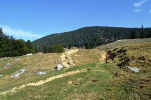 [P02] Poiana Zănoagei » foto by makuy*
 - 
<span class="allrVoted glyphicon glyphicon-heart hidden" id="av674984"></span>
<a class="m-l-10 hidden" id="sv674984" onclick="voting_Foto_DelVot(,674984,5764)" role="button">șterge vot <span class="glyphicon glyphicon-remove"></span></a>
<a id="v9674984" class=" c-red"  onclick="voting_Foto_SetVot(674984)" role="button"><span class="glyphicon glyphicon-heart-empty"></span> <b>LIKE</b> = Votează poza</a> <img class="hidden"  id="f674984W9" src="/imagini/loader.gif" border="0" /><span class="AjErrMes hidden" id="e674984ErM"></span>