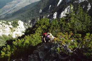 [P24] Dar ce coborâre!  » foto by makuy*
 - 
<span class="allrVoted glyphicon glyphicon-heart hidden" id="av675006"></span>
<a class="m-l-10 hidden" id="sv675006" onclick="voting_Foto_DelVot(,675006,5764)" role="button">șterge vot <span class="glyphicon glyphicon-remove"></span></a>
<a id="v9675006" class=" c-red"  onclick="voting_Foto_SetVot(675006)" role="button"><span class="glyphicon glyphicon-heart-empty"></span> <b>LIKE</b> = Votează poza</a> <img class="hidden"  id="f675006W9" src="/imagini/loader.gif" border="0" /><span class="AjErrMes hidden" id="e675006ErM"></span>