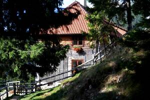 [P07] Cabana Curmătura apare brusc, printre copaci » foto by makuy*
 - 
<span class="allrVoted glyphicon glyphicon-heart hidden" id="av674989"></span>
<a class="m-l-10 hidden" id="sv674989" onclick="voting_Foto_DelVot(,674989,5764)" role="button">șterge vot <span class="glyphicon glyphicon-remove"></span></a>
<a id="v9674989" class=" c-red"  onclick="voting_Foto_SetVot(674989)" role="button"><span class="glyphicon glyphicon-heart-empty"></span> <b>LIKE</b> = Votează poza</a> <img class="hidden"  id="f674989W9" src="/imagini/loader.gif" border="0" /><span class="AjErrMes hidden" id="e674989ErM"></span>