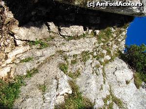 [P01] Urcarea spre Vf. Turnu » foto by saxonul
 - 
<span class="allrVoted glyphicon glyphicon-heart hidden" id="av675179"></span>
<a class="m-l-10 hidden" id="sv675179" onclick="voting_Foto_DelVot(,675179,5764)" role="button">șterge vot <span class="glyphicon glyphicon-remove"></span></a>
<a id="v9675179" class=" c-red"  onclick="voting_Foto_SetVot(675179)" role="button"><span class="glyphicon glyphicon-heart-empty"></span> <b>LIKE</b> = Votează poza</a> <img class="hidden"  id="f675179W9" src="/imagini/loader.gif" border="0" /><span class="AjErrMes hidden" id="e675179ErM"></span>