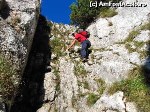 [P02] Spre Vf. Turnu - 1 sept. 2013 » foto by saxonul
 - 
<span class="allrVoted glyphicon glyphicon-heart hidden" id="av675180"></span>
<a class="m-l-10 hidden" id="sv675180" onclick="voting_Foto_DelVot(,675180,5764)" role="button">șterge vot <span class="glyphicon glyphicon-remove"></span></a>
<a id="v9675180" class=" c-red"  onclick="voting_Foto_SetVot(675180)" role="button"><span class="glyphicon glyphicon-heart-empty"></span> <b>LIKE</b> = Votează poza</a> <img class="hidden"  id="f675180W9" src="/imagini/loader.gif" border="0" /><span class="AjErrMes hidden" id="e675180ErM"></span>