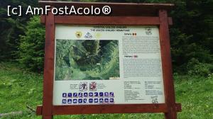 [P16]  -- <small>// FĂRĂ DESCRIERE</small> » foto by vladix18
 - 
<span class="allrVoted glyphicon glyphicon-heart hidden" id="av862788"></span>
<a class="m-l-10 hidden" id="sv862788" onclick="voting_Foto_DelVot(,862788,5764)" role="button">șterge vot <span class="glyphicon glyphicon-remove"></span></a>
<a id="v9862788" class=" c-red"  onclick="voting_Foto_SetVot(862788)" role="button"><span class="glyphicon glyphicon-heart-empty"></span> <b>LIKE</b> = Votează poza</a> <img class="hidden"  id="f862788W9" src="/imagini/loader.gif" border="0" /><span class="AjErrMes hidden" id="e862788ErM"></span>