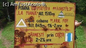 [P04]  -- <small>// FĂRĂ DESCRIERE</small> » foto by vladix18
 - 
<span class="allrVoted glyphicon glyphicon-heart hidden" id="av862776"></span>
<a class="m-l-10 hidden" id="sv862776" onclick="voting_Foto_DelVot(,862776,5764)" role="button">șterge vot <span class="glyphicon glyphicon-remove"></span></a>
<a id="v9862776" class=" c-red"  onclick="voting_Foto_SetVot(862776)" role="button"><span class="glyphicon glyphicon-heart-empty"></span> <b>LIKE</b> = Votează poza</a> <img class="hidden"  id="f862776W9" src="/imagini/loader.gif" border="0" /><span class="AjErrMes hidden" id="e862776ErM"></span>