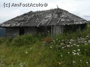 [P08] St&acirc;na părăsită din Poiana Tămășel » foto by Mika
 - 
<span class="allrVoted glyphicon glyphicon-heart hidden" id="av1173737"></span>
<a class="m-l-10 hidden" id="sv1173737" onclick="voting_Foto_DelVot(,1173737,5764)" role="button">șterge vot <span class="glyphicon glyphicon-remove"></span></a>
<a id="v91173737" class=" c-red"  onclick="voting_Foto_SetVot(1173737)" role="button"><span class="glyphicon glyphicon-heart-empty"></span> <b>LIKE</b> = Votează poza</a> <img class="hidden"  id="f1173737W9" src="/imagini/loader.gif" border="0" /><span class="AjErrMes hidden" id="e1173737ErM"></span>