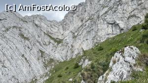 [P22] În Poiană Închisă » foto by Mika
 - 
<span class="allrVoted glyphicon glyphicon-heart hidden" id="av1491778"></span>
<a class="m-l-10 hidden" id="sv1491778" onclick="voting_Foto_DelVot(,1491778,5764)" role="button">șterge vot <span class="glyphicon glyphicon-remove"></span></a>
<a id="v91491778" class=" c-red"  onclick="voting_Foto_SetVot(1491778)" role="button"><span class="glyphicon glyphicon-heart-empty"></span> <b>LIKE</b> = Votează poza</a> <img class="hidden"  id="f1491778W9" src="/imagini/loader.gif" border="0" /><span class="AjErrMes hidden" id="e1491778ErM"></span>