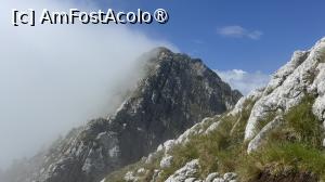 [P16] Creasta Nordică a Craiului » foto by Mika
 - 
<span class="allrVoted glyphicon glyphicon-heart hidden" id="av1508283"></span>
<a class="m-l-10 hidden" id="sv1508283" onclick="voting_Foto_DelVot(,1508283,5764)" role="button">șterge vot <span class="glyphicon glyphicon-remove"></span></a>
<a id="v91508283" class=" c-red"  onclick="voting_Foto_SetVot(1508283)" role="button"><span class="glyphicon glyphicon-heart-empty"></span> <b>LIKE</b> = Votează poza</a> <img class="hidden"  id="f1508283W9" src="/imagini/loader.gif" border="0" /><span class="AjErrMes hidden" id="e1508283ErM"></span>