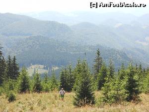 [P08] In drum spre Saua Funduri » foto by CosminZichil
 - 
<span class="allrVoted glyphicon glyphicon-heart hidden" id="av621565"></span>
<a class="m-l-10 hidden" id="sv621565" onclick="voting_Foto_DelVot(,621565,5764)" role="button">șterge vot <span class="glyphicon glyphicon-remove"></span></a>
<a id="v9621565" class=" c-red"  onclick="voting_Foto_SetVot(621565)" role="button"><span class="glyphicon glyphicon-heart-empty"></span> <b>LIKE</b> = Votează poza</a> <img class="hidden"  id="f621565W9" src="/imagini/loader.gif" border="0" /><span class="AjErrMes hidden" id="e621565ErM"></span>