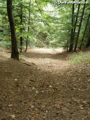 [P02]  -- <small>// FĂRĂ DESCRIERE</small> » foto by Flaviuss
 - 
<span class="allrVoted glyphicon glyphicon-heart hidden" id="av621328"></span>
<a class="m-l-10 hidden" id="sv621328" onclick="voting_Foto_DelVot(,621328,5764)" role="button">șterge vot <span class="glyphicon glyphicon-remove"></span></a>
<a id="v9621328" class=" c-red"  onclick="voting_Foto_SetVot(621328)" role="button"><span class="glyphicon glyphicon-heart-empty"></span> <b>LIKE</b> = Votează poza</a> <img class="hidden"  id="f621328W9" src="/imagini/loader.gif" border="0" /><span class="AjErrMes hidden" id="e621328ErM"></span>