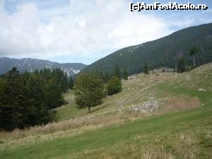 [P03]  -- <small>// FĂRĂ DESCRIERE</small> » foto by Flaviuss
 - 
<span class="allrVoted glyphicon glyphicon-heart hidden" id="av621329"></span>
<a class="m-l-10 hidden" id="sv621329" onclick="voting_Foto_DelVot(,621329,5764)" role="button">șterge vot <span class="glyphicon glyphicon-remove"></span></a>
<a id="v9621329" class=" c-red"  onclick="voting_Foto_SetVot(621329)" role="button"><span class="glyphicon glyphicon-heart-empty"></span> <b>LIKE</b> = Votează poza</a> <img class="hidden"  id="f621329W9" src="/imagini/loader.gif" border="0" /><span class="AjErrMes hidden" id="e621329ErM"></span>