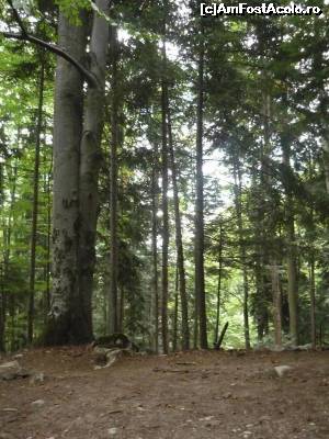 [P04]  -- <small>// FĂRĂ DESCRIERE</small> » foto by Flaviuss
 - 
<span class="allrVoted glyphicon glyphicon-heart hidden" id="av621330"></span>
<a class="m-l-10 hidden" id="sv621330" onclick="voting_Foto_DelVot(,621330,5764)" role="button">șterge vot <span class="glyphicon glyphicon-remove"></span></a>
<a id="v9621330" class=" c-red"  onclick="voting_Foto_SetVot(621330)" role="button"><span class="glyphicon glyphicon-heart-empty"></span> <b>LIKE</b> = Votează poza</a> <img class="hidden"  id="f621330W9" src="/imagini/loader.gif" border="0" /><span class="AjErrMes hidden" id="e621330ErM"></span>