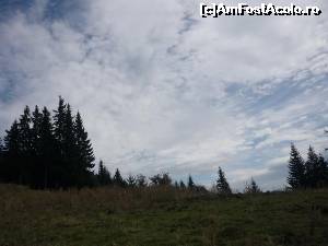 [P05]  -- <small>// FĂRĂ DESCRIERE</small> » foto by Flaviuss
 - 
<span class="allrVoted glyphicon glyphicon-heart hidden" id="av621331"></span>
<a class="m-l-10 hidden" id="sv621331" onclick="voting_Foto_DelVot(,621331,5764)" role="button">șterge vot <span class="glyphicon glyphicon-remove"></span></a>
<a id="v9621331" class=" c-red"  onclick="voting_Foto_SetVot(621331)" role="button"><span class="glyphicon glyphicon-heart-empty"></span> <b>LIKE</b> = Votează poza</a> <img class="hidden"  id="f621331W9" src="/imagini/loader.gif" border="0" /><span class="AjErrMes hidden" id="e621331ErM"></span>