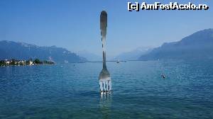 [P10] La Fourchette-Vevey » foto by GIN2015*
 - 
<span class="allrVoted glyphicon glyphicon-heart hidden" id="av657589"></span>
<a class="m-l-10 hidden" id="sv657589" onclick="voting_Foto_DelVot(,657589,5826)" role="button">șterge vot <span class="glyphicon glyphicon-remove"></span></a>
<a id="v9657589" class=" c-red"  onclick="voting_Foto_SetVot(657589)" role="button"><span class="glyphicon glyphicon-heart-empty"></span> <b>LIKE</b> = Votează poza</a> <img class="hidden"  id="f657589W9" src="/imagini/loader.gif" border="0" /><span class="AjErrMes hidden" id="e657589ErM"></span>