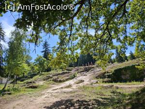 [P20] Băile romane » foto by Carmen Ion
 - 
<span class="allrVoted glyphicon glyphicon-heart hidden" id="av1512485"></span>
<a class="m-l-10 hidden" id="sv1512485" onclick="voting_Foto_DelVot(,1512485,5840)" role="button">șterge vot <span class="glyphicon glyphicon-remove"></span></a>
<a id="v91512485" class=" c-red"  onclick="voting_Foto_SetVot(1512485)" role="button"><span class="glyphicon glyphicon-heart-empty"></span> <b>LIKE</b> = Votează poza</a> <img class="hidden"  id="f1512485W9" src="/imagini/loader.gif" border="0" /><span class="AjErrMes hidden" id="e1512485ErM"></span>