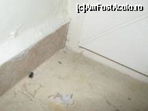 [P10]  -- <small>// FĂRĂ DESCRIERE</small> » foto by MARIA-ADRIANA*
 - 
<span class="allrVoted glyphicon glyphicon-heart hidden" id="av78290"></span>
<a class="m-l-10 hidden" id="sv78290" onclick="voting_Foto_DelVot(,78290,5859)" role="button">șterge vot <span class="glyphicon glyphicon-remove"></span></a>
<a id="v978290" class=" c-red"  onclick="voting_Foto_SetVot(78290)" role="button"><span class="glyphicon glyphicon-heart-empty"></span> <b>LIKE</b> = Votează poza</a> <img class="hidden"  id="f78290W9" src="/imagini/loader.gif" border="0" /><span class="AjErrMes hidden" id="e78290ErM"></span>