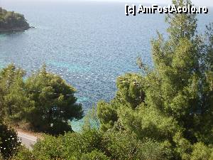 [P21] Skiathos Palace - vedere din camera panoramic view. desi sunt cele mai scumpe si mai faine camere deoarece sunt amplasate intr-un corp aflat mai jos privelistea poate sa fie in... pom » foto by Andox
 - 
<span class="allrVoted glyphicon glyphicon-heart hidden" id="av423194"></span>
<a class="m-l-10 hidden" id="sv423194" onclick="voting_Foto_DelVot(,423194,5871)" role="button">șterge vot <span class="glyphicon glyphicon-remove"></span></a>
<a id="v9423194" class=" c-red"  onclick="voting_Foto_SetVot(423194)" role="button"><span class="glyphicon glyphicon-heart-empty"></span> <b>LIKE</b> = Votează poza</a> <img class="hidden"  id="f423194W9" src="/imagini/loader.gif" border="0" /><span class="AjErrMes hidden" id="e423194ErM"></span>