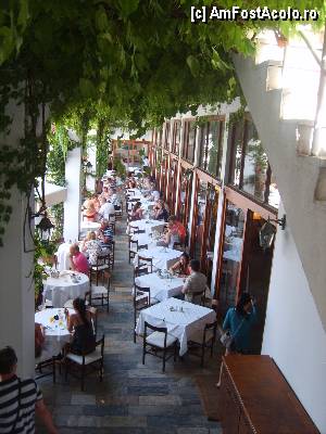 [P31] Skiathos Palace - terasa restaurant » foto by Andox
 - 
<span class="allrVoted glyphicon glyphicon-heart hidden" id="av423204"></span>
<a class="m-l-10 hidden" id="sv423204" onclick="voting_Foto_DelVot(,423204,5871)" role="button">șterge vot <span class="glyphicon glyphicon-remove"></span></a>
<a id="v9423204" class=" c-red"  onclick="voting_Foto_SetVot(423204)" role="button"><span class="glyphicon glyphicon-heart-empty"></span> <b>LIKE</b> = Votează poza</a> <img class="hidden"  id="f423204W9" src="/imagini/loader.gif" border="0" /><span class="AjErrMes hidden" id="e423204ErM"></span>