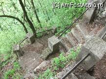 [P05] daca te hatarasi sa cobori Tampa pe jos, cam asta te asteapta » foto by liz5
 - 
<span class="allrVoted glyphicon glyphicon-heart hidden" id="av79361"></span>
<a class="m-l-10 hidden" id="sv79361" onclick="voting_Foto_DelVot(,79361,5893)" role="button">șterge vot <span class="glyphicon glyphicon-remove"></span></a>
<a id="v979361" class=" c-red"  onclick="voting_Foto_SetVot(79361)" role="button"><span class="glyphicon glyphicon-heart-empty"></span> <b>LIKE</b> = Votează poza</a> <img class="hidden"  id="f79361W9" src="/imagini/loader.gif" border="0" /><span class="AjErrMes hidden" id="e79361ErM"></span>