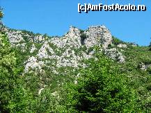 [P53]  -- <small>// FĂRĂ DESCRIERE</small> » foto by lala-cri
 - 
<span class="allrVoted glyphicon glyphicon-heart hidden" id="av96447"></span>
<a class="m-l-10 hidden" id="sv96447" onclick="voting_Foto_DelVot(,96447,5905)" role="button">șterge vot <span class="glyphicon glyphicon-remove"></span></a>
<a id="v996447" class=" c-red"  onclick="voting_Foto_SetVot(96447)" role="button"><span class="glyphicon glyphicon-heart-empty"></span> <b>LIKE</b> = Votează poza</a> <img class="hidden"  id="f96447W9" src="/imagini/loader.gif" border="0" /><span class="AjErrMes hidden" id="e96447ErM"></span>