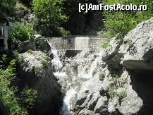 [P62]  -- <small>// FĂRĂ DESCRIERE</small> » foto by lala-cri
 - 
<span class="allrVoted glyphicon glyphicon-heart hidden" id="av96456"></span>
<a class="m-l-10 hidden" id="sv96456" onclick="voting_Foto_DelVot(,96456,5905)" role="button">șterge vot <span class="glyphicon glyphicon-remove"></span></a>
<a id="v996456" class=" c-red"  onclick="voting_Foto_SetVot(96456)" role="button"><span class="glyphicon glyphicon-heart-empty"></span> <b>LIKE</b> = Votează poza</a> <img class="hidden"  id="f96456W9" src="/imagini/loader.gif" border="0" /><span class="AjErrMes hidden" id="e96456ErM"></span>