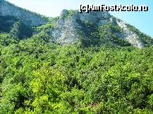 [P67]  -- <small>// FĂRĂ DESCRIERE</small> » foto by lala-cri
 - 
<span class="allrVoted glyphicon glyphicon-heart hidden" id="av96461"></span>
<a class="m-l-10 hidden" id="sv96461" onclick="voting_Foto_DelVot(,96461,5905)" role="button">șterge vot <span class="glyphicon glyphicon-remove"></span></a>
<a id="v996461" class=" c-red"  onclick="voting_Foto_SetVot(96461)" role="button"><span class="glyphicon glyphicon-heart-empty"></span> <b>LIKE</b> = Votează poza</a> <img class="hidden"  id="f96461W9" src="/imagini/loader.gif" border="0" /><span class="AjErrMes hidden" id="e96461ErM"></span>