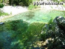 [P69]  -- <small>// FĂRĂ DESCRIERE</small> » foto by lala-cri
 - 
<span class="allrVoted glyphicon glyphicon-heart hidden" id="av96463"></span>
<a class="m-l-10 hidden" id="sv96463" onclick="voting_Foto_DelVot(,96463,5905)" role="button">șterge vot <span class="glyphicon glyphicon-remove"></span></a>
<a id="v996463" class=" c-red"  onclick="voting_Foto_SetVot(96463)" role="button"><span class="glyphicon glyphicon-heart-empty"></span> <b>LIKE</b> = Votează poza</a> <img class="hidden"  id="f96463W9" src="/imagini/loader.gif" border="0" /><span class="AjErrMes hidden" id="e96463ErM"></span>