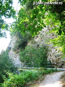 [P73]  -- <small>// FĂRĂ DESCRIERE</small> » foto by lala-cri
 - 
<span class="allrVoted glyphicon glyphicon-heart hidden" id="av96467"></span>
<a class="m-l-10 hidden" id="sv96467" onclick="voting_Foto_DelVot(,96467,5905)" role="button">șterge vot <span class="glyphicon glyphicon-remove"></span></a>
<a id="v996467" class=" c-red"  onclick="voting_Foto_SetVot(96467)" role="button"><span class="glyphicon glyphicon-heart-empty"></span> <b>LIKE</b> = Votează poza</a> <img class="hidden"  id="f96467W9" src="/imagini/loader.gif" border="0" /><span class="AjErrMes hidden" id="e96467ErM"></span>