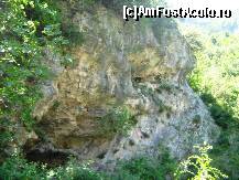 [P78]  -- <small>// FĂRĂ DESCRIERE</small> » foto by lala-cri
 - 
<span class="allrVoted glyphicon glyphicon-heart hidden" id="av96472"></span>
<a class="m-l-10 hidden" id="sv96472" onclick="voting_Foto_DelVot(,96472,5905)" role="button">șterge vot <span class="glyphicon glyphicon-remove"></span></a>
<a id="v996472" class=" c-red"  onclick="voting_Foto_SetVot(96472)" role="button"><span class="glyphicon glyphicon-heart-empty"></span> <b>LIKE</b> = Votează poza</a> <img class="hidden"  id="f96472W9" src="/imagini/loader.gif" border="0" /><span class="AjErrMes hidden" id="e96472ErM"></span>