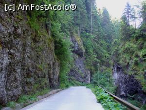 [P08] Cheile Ordancusii » foto by Slider Zoltan
 - 
<span class="allrVoted glyphicon glyphicon-heart hidden" id="av754095"></span>
<a class="m-l-10 hidden" id="sv754095" onclick="voting_Foto_DelVot(,754095,5952)" role="button">șterge vot <span class="glyphicon glyphicon-remove"></span></a>
<a id="v9754095" class=" c-red"  onclick="voting_Foto_SetVot(754095)" role="button"><span class="glyphicon glyphicon-heart-empty"></span> <b>LIKE</b> = Votează poza</a> <img class="hidden"  id="f754095W9" src="/imagini/loader.gif" border="0" /><span class="AjErrMes hidden" id="e754095ErM"></span>