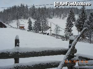 [P04] In drum spre pestera Scarisoara » foto by livv1973
 - 
<span class="allrVoted glyphicon glyphicon-heart hidden" id="av433930"></span>
<a class="m-l-10 hidden" id="sv433930" onclick="voting_Foto_DelVot(,433930,5952)" role="button">șterge vot <span class="glyphicon glyphicon-remove"></span></a>
<a id="v9433930" class=" c-red"  onclick="voting_Foto_SetVot(433930)" role="button"><span class="glyphicon glyphicon-heart-empty"></span> <b>LIKE</b> = Votează poza</a> <img class="hidden"  id="f433930W9" src="/imagini/loader.gif" border="0" /><span class="AjErrMes hidden" id="e433930ErM"></span>