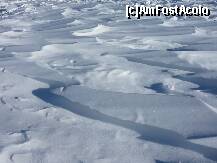 [P19] Dune de zapada, formate pe platou de vantul ce ne-a cam batut si pe noi » foto by Claudiu U.
 - 
<span class="allrVoted glyphicon glyphicon-heart hidden" id="av190292"></span>
<a class="m-l-10 hidden" id="sv190292" onclick="voting_Foto_DelVot(,190292,6094)" role="button">șterge vot <span class="glyphicon glyphicon-remove"></span></a>
<a id="v9190292" class=" c-red"  onclick="voting_Foto_SetVot(190292)" role="button"><span class="glyphicon glyphicon-heart-empty"></span> <b>LIKE</b> = Votează poza</a> <img class="hidden"  id="f190292W9" src="/imagini/loader.gif" border="0" /><span class="AjErrMes hidden" id="e190292ErM"></span>