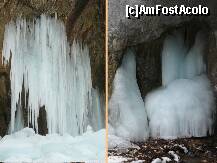 [P25] Desi poate par mici, turturii aveau mai mult de 5-6 m inaltime » foto by Claudiu U.
 - 
<span class="allrVoted glyphicon glyphicon-heart hidden" id="av190298"></span>
<a class="m-l-10 hidden" id="sv190298" onclick="voting_Foto_DelVot(,190298,6094)" role="button">șterge vot <span class="glyphicon glyphicon-remove"></span></a>
<a id="v9190298" class=" c-red"  onclick="voting_Foto_SetVot(190298)" role="button"><span class="glyphicon glyphicon-heart-empty"></span> <b>LIKE</b> = Votează poza</a> <img class="hidden"  id="f190298W9" src="/imagini/loader.gif" border="0" /><span class="AjErrMes hidden" id="e190298ErM"></span>