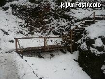 [P03] Un podet ce traverseaza o vale, pe traseul spre Canionul 7 Scari » foto by Claudiu U.
 - 
<span class="allrVoted glyphicon glyphicon-heart hidden" id="av190276"></span>
<a class="m-l-10 hidden" id="sv190276" onclick="voting_Foto_DelVot(,190276,6094)" role="button">șterge vot <span class="glyphicon glyphicon-remove"></span></a>
<a id="v9190276" class=" c-red"  onclick="voting_Foto_SetVot(190276)" role="button"><span class="glyphicon glyphicon-heart-empty"></span> <b>LIKE</b> = Votează poza</a> <img class="hidden"  id="f190276W9" src="/imagini/loader.gif" border="0" /><span class="AjErrMes hidden" id="e190276ErM"></span>