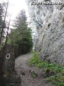 [P10] Iata ce ne astepta mai departe! » foto by Claudiu U.
 - 
<span class="allrVoted glyphicon glyphicon-heart hidden" id="av329482"></span>
<a class="m-l-10 hidden" id="sv329482" onclick="voting_Foto_DelVot(,329482,6094)" role="button">șterge vot <span class="glyphicon glyphicon-remove"></span></a>
<a id="v9329482" class=" c-red"  onclick="voting_Foto_SetVot(329482)" role="button"><span class="glyphicon glyphicon-heart-empty"></span> <b>LIKE</b> = Votează poza</a> <img class="hidden"  id="f329482W9" src="/imagini/loader.gif" border="0" /><span class="AjErrMes hidden" id="e329482ErM"></span>