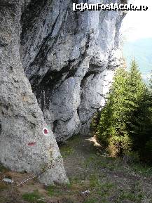 [P12] Poteca 'strajuita' de uriasa stanca » foto by Claudiu U.
 - 
<span class="allrVoted glyphicon glyphicon-heart hidden" id="av329484"></span>
<a class="m-l-10 hidden" id="sv329484" onclick="voting_Foto_DelVot(,329484,6094)" role="button">șterge vot <span class="glyphicon glyphicon-remove"></span></a>
<a id="v9329484" class=" c-red"  onclick="voting_Foto_SetVot(329484)" role="button"><span class="glyphicon glyphicon-heart-empty"></span> <b>LIKE</b> = Votează poza</a> <img class="hidden"  id="f329484W9" src="/imagini/loader.gif" border="0" /><span class="AjErrMes hidden" id="e329484ErM"></span>